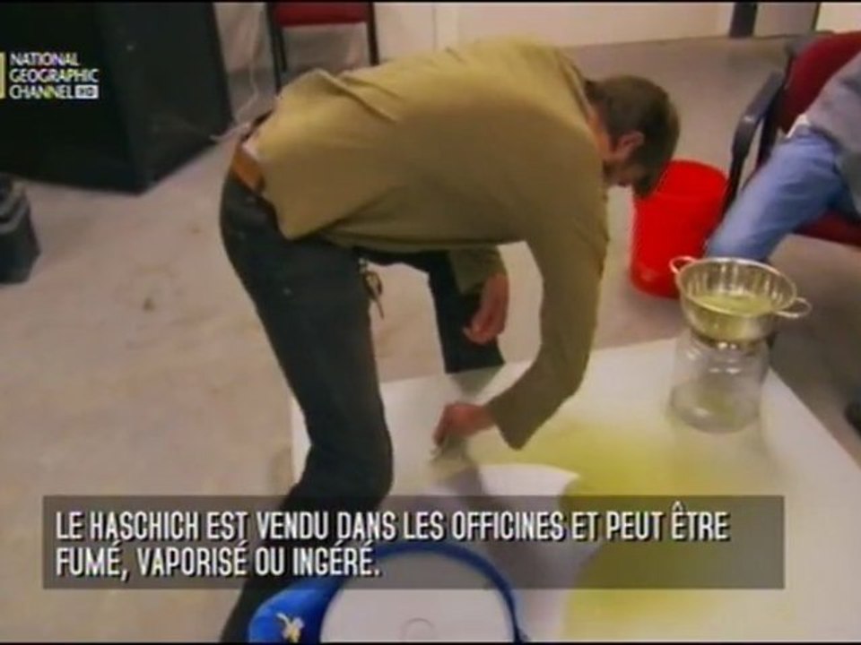 American Weed - Résultat des Votes