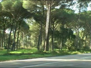 Ford S-Max und Galaxy