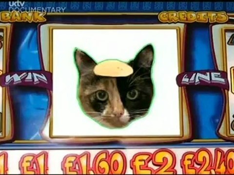 HIGNFY S22E05 - Adam Boulton & Carol Thatcher