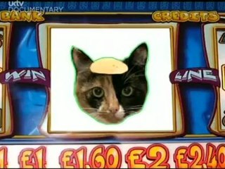 HIGNFY S22E05 - Adam Boulton & Carol Thatcher