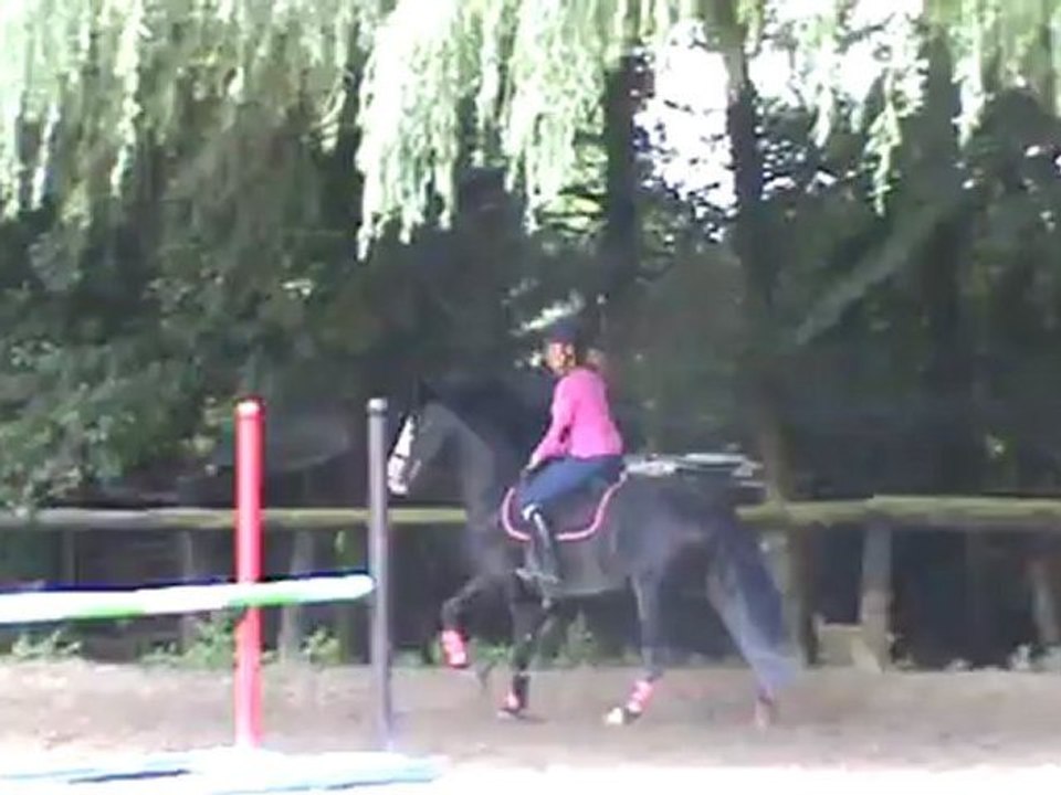 Séance saut 15 07 12.1