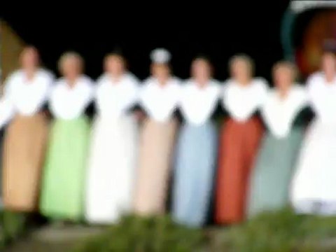 Songe d'une nuit en camargue (Roland Serre)