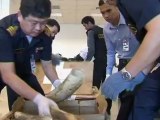 Smuggled ivory seized in Thailand
