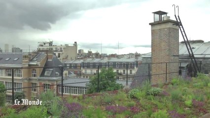 Agriculture urbaine : l'avenir est sur les t oits