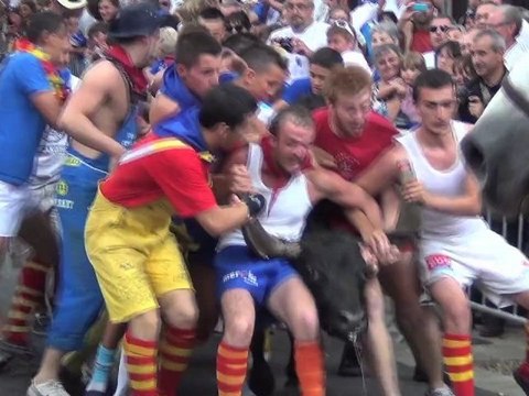 Lâcher de taureaux à la Féria de Céret 2012