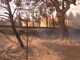 National park threatened as fires rage in Canaries