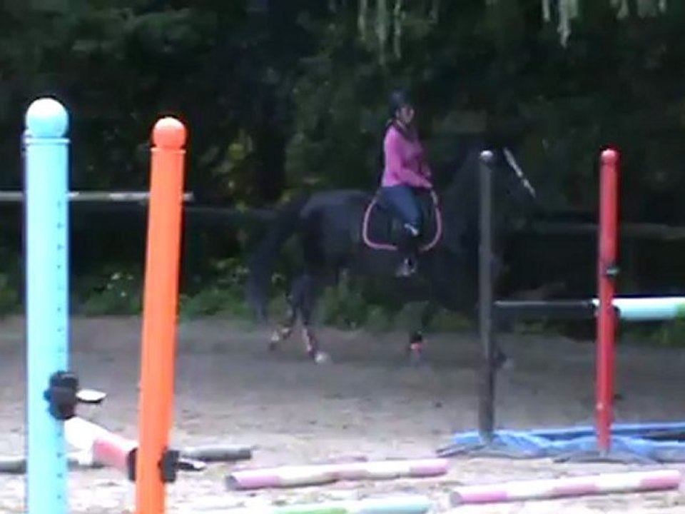 Séance saut 15 07 12.11