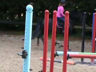 Séance saut 15 07 12.13