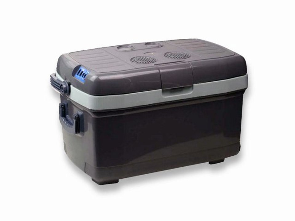 Glacière chaud / froid 45 litres 12V ou 220V : Auto7