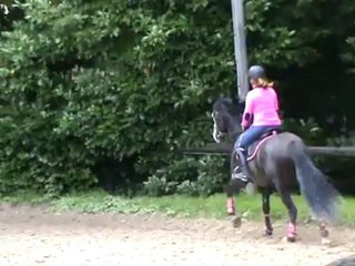 Séance saut 15 07 12.15