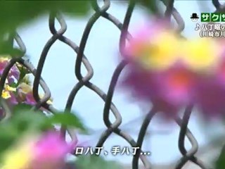 saku saku (20120706-2330 ｔｖｋ)-03