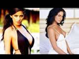 Sultry Poonam Pandey To Do An Item Number In Veena Malik's The Dirty Picture - Bollywood Gossip