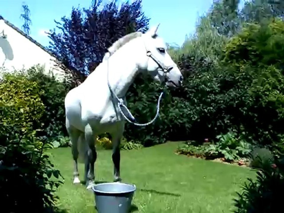 17/07/12