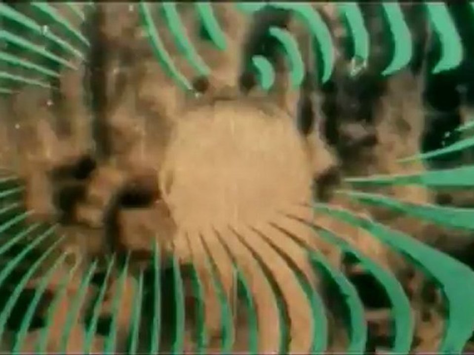 Torso [1973] Trailer german