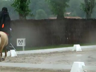 Pauline et Olisca du Bief rlm lamotte 2012