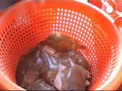 EU refuses to help farmers hit by low milk prices