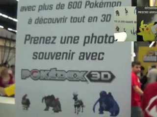 Reportage sur Japan Expo 2012