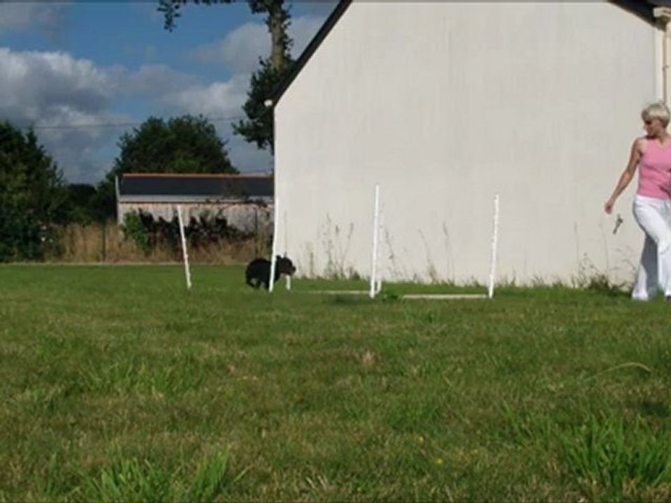 Vodka Running A-Frame 3rd training