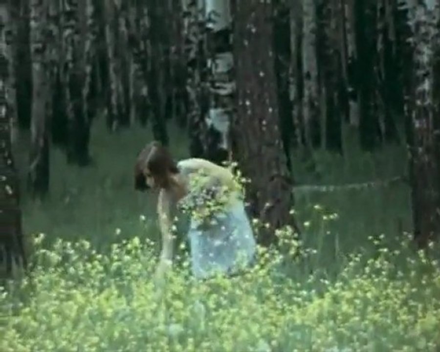 Selda Bağcan - ellerinle bana baharlar getir - 2012 YENİ KLİP -kolaj Serbülent Öztürk