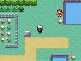 Pokémon version Saphir wt [8] Matho monte des niveau =D