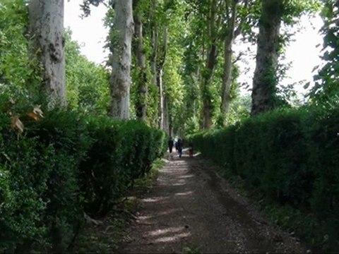 Прогулка нашей семьи по резиденции Патриарха Грузии