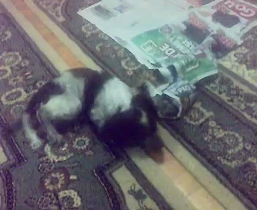 16072012008