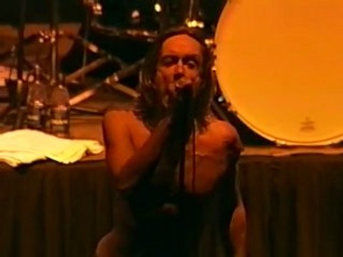 Iggy and the Stooges - I Wanna Be Your Dog (LIVE)