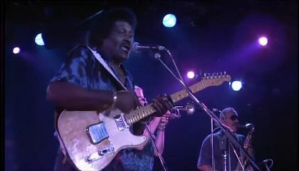 Albert Collins - Iceman (LIVE)
