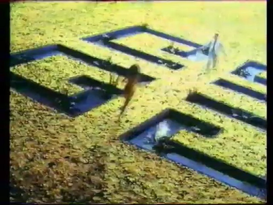 M6 11.10.93 Fin 6 Minutes Montpellier,Météo,Semainier,2 Pubs,1 B.A.