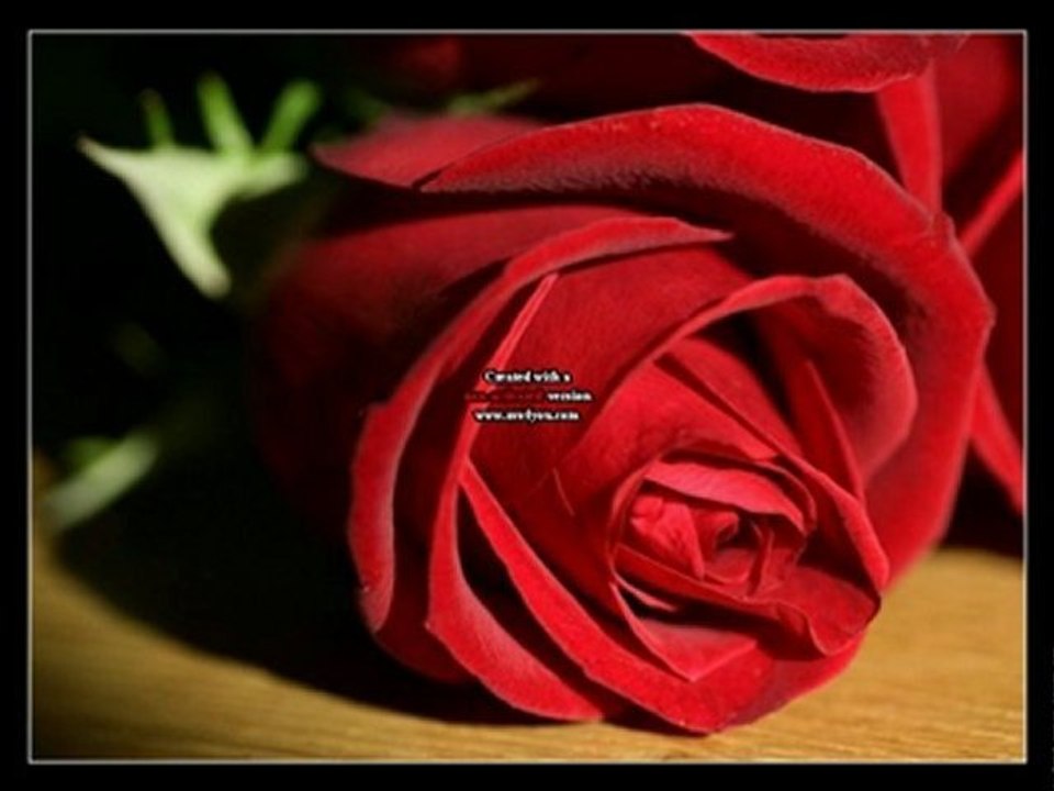 www.sesliq.com