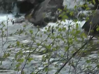 Starve The Ego, Feed the Soul