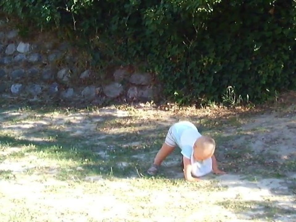 PREMIERS PAS DE SASHA