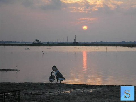 Shahnaz Rahmatullah- Tumi Ki Sei Tumi