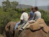 Affordable African Safari Vacation Packages