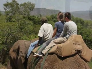 Affordable African Safari Vacation Packages