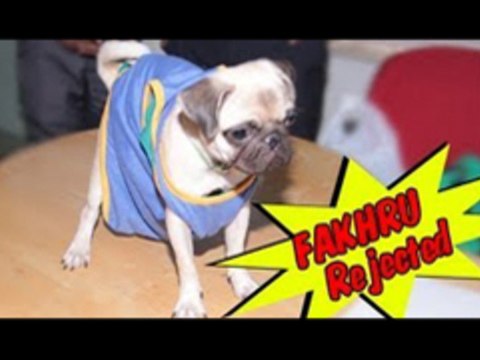 Censor Rejects Dog Name Fakhru In Kyaa Super Kool Hain Hum | Sarah Jane Dias