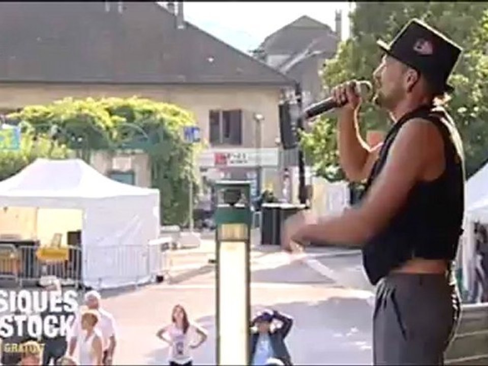 Musiques en Stock 2012 - Rage against the Marmottes