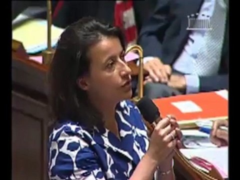 Cécile Duflot chahutée à l'Assemblée