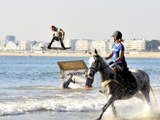RidersMatch - Horse Surfing