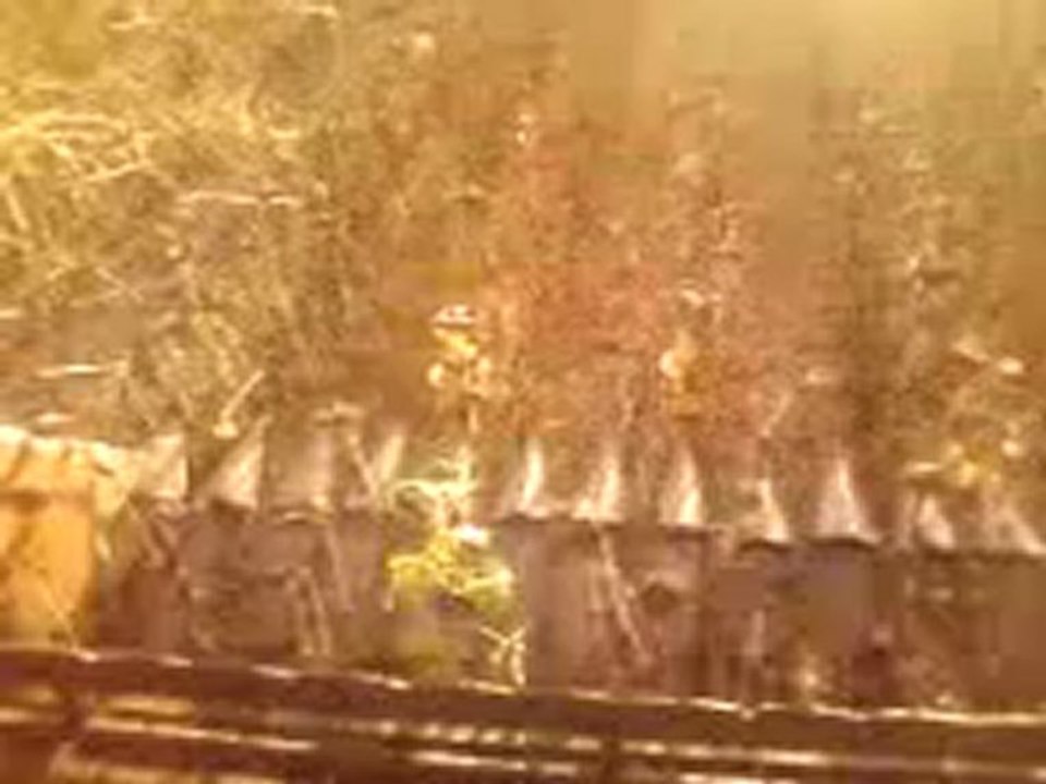 Video-0002