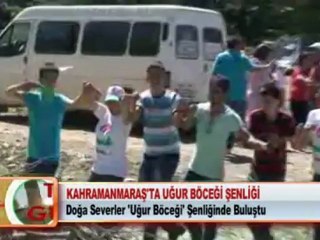 KAHRAMANMARAŞ’TA UĞUR BÖCEĞİ ŞENLİĞİ