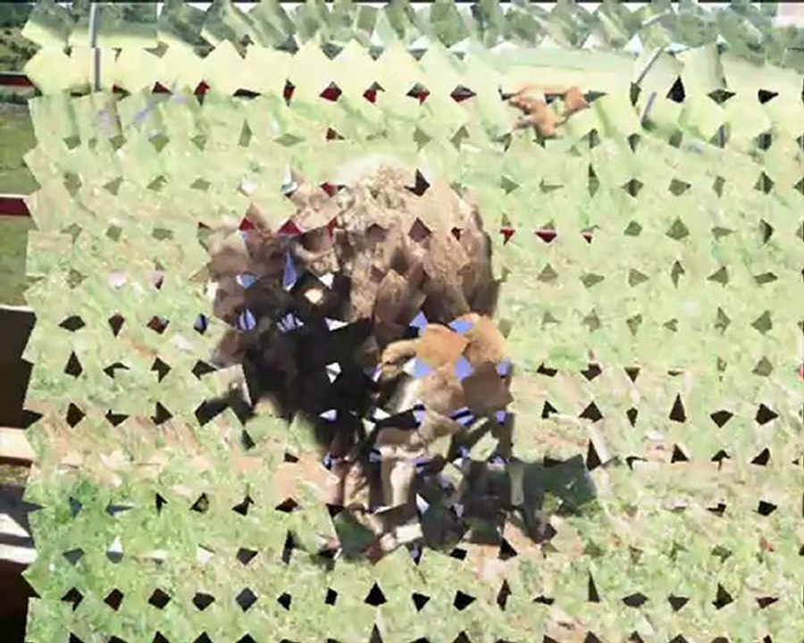 JOURNEE AUX PRES DES BISONS JUIN 2012