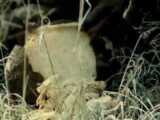 Sivatag -  David Attenborough: Élő bolygó 6/13