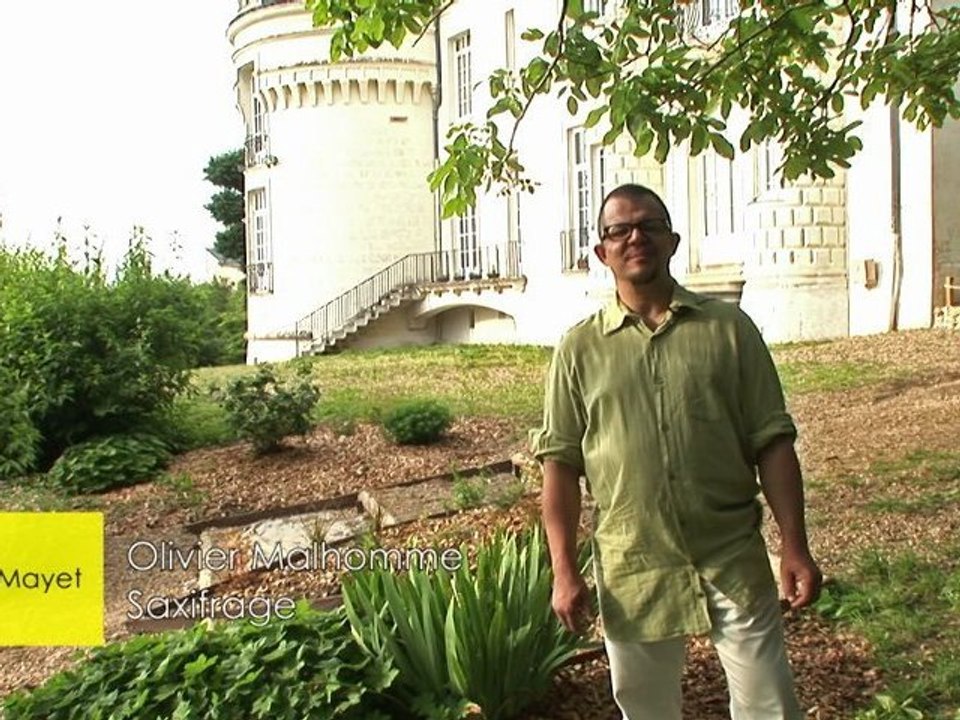 Présentation de Saxifrage