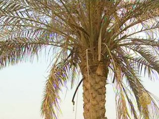 الإقتصاد والناس - تنمية سيناء