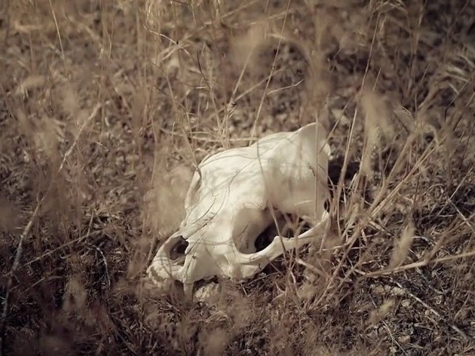 Ghostland