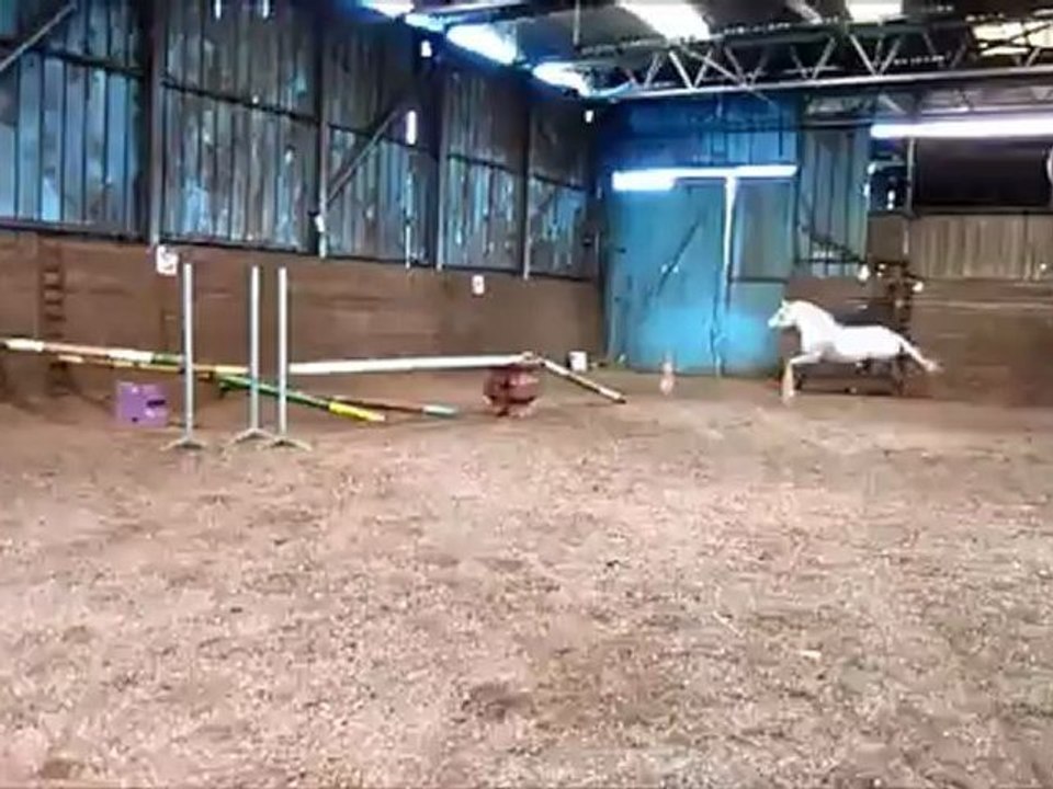 saut en liberté
