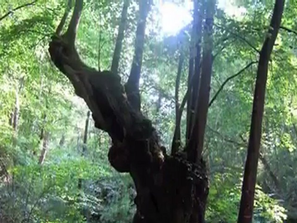 atelier LAH Le Chefresne