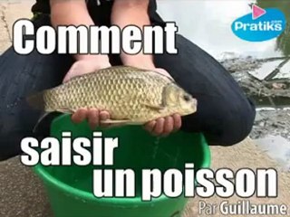 Comment saisir un poisson (ok)