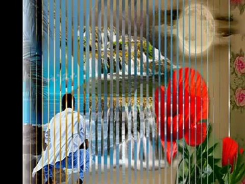 HASRETİNLE YAŞIYORUM GERİ DÖN GÜLÜM SENSİZ YAŞAYAMAM GÜLÜM